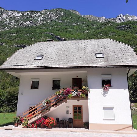 Apartma Pod Rozem Soča Zewnętrze zdjęcie